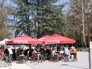 OLYMPUS DIGITAL CAMERA