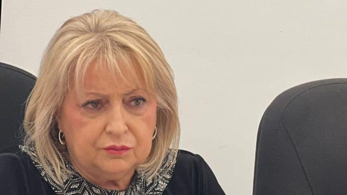 Ministarka Đukić Dejanović