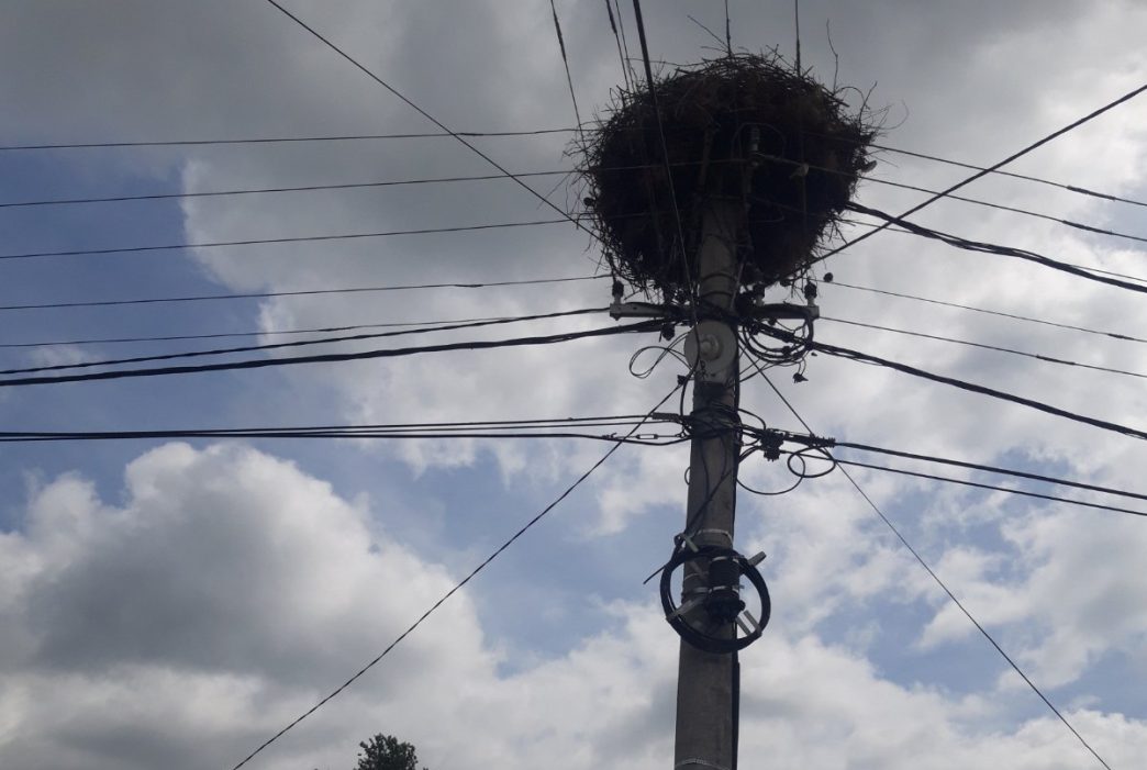 Zbog roda i Distribucije pregoreli aparati Lopardinčanima