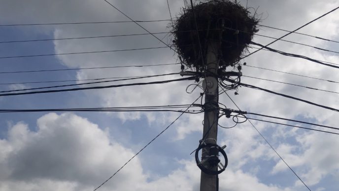 Zbog roda i Distribucije pregoreli aparati Lopardinčanima