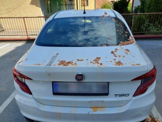 službena vozila jaja