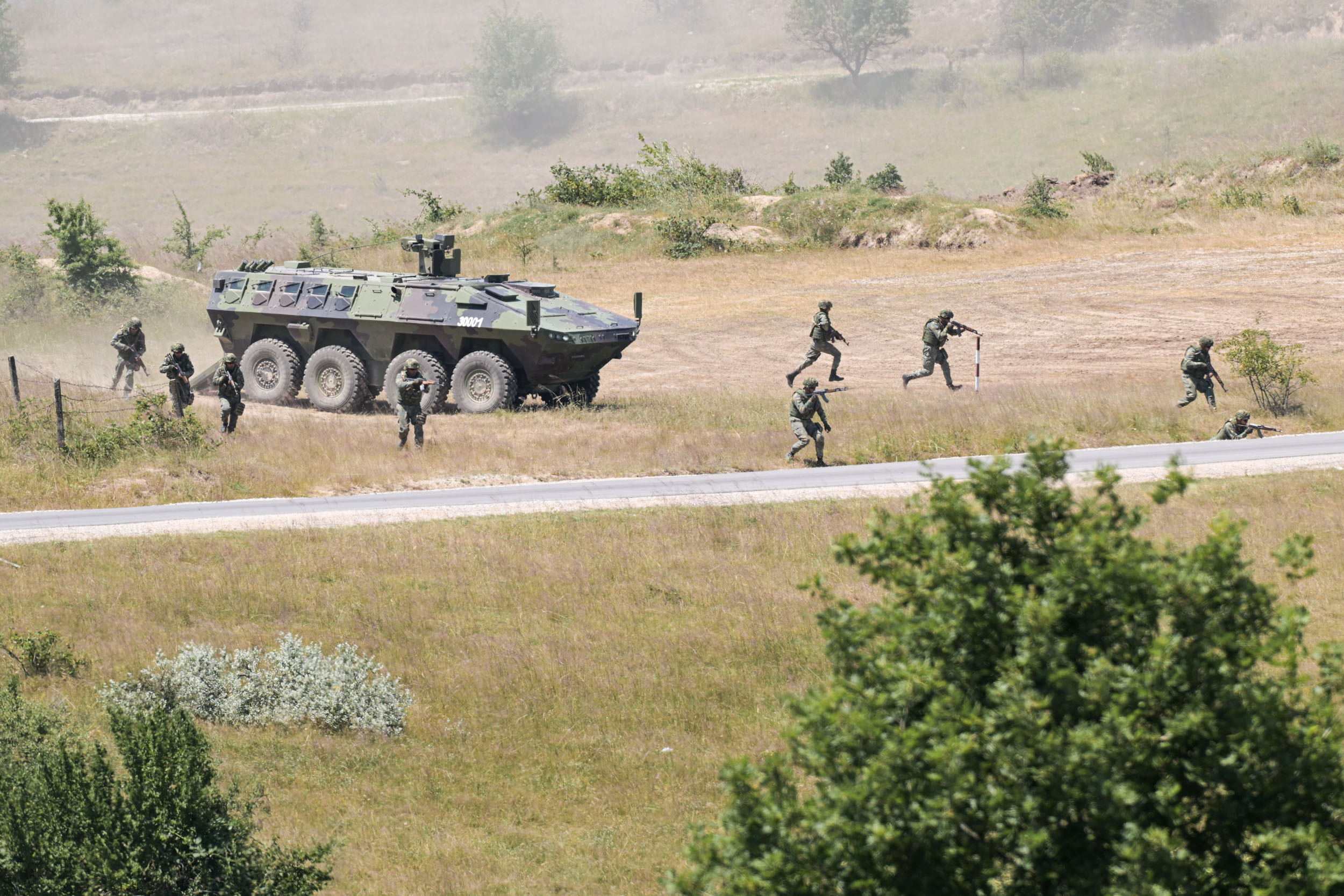 Vežba "Platinasti vuk"