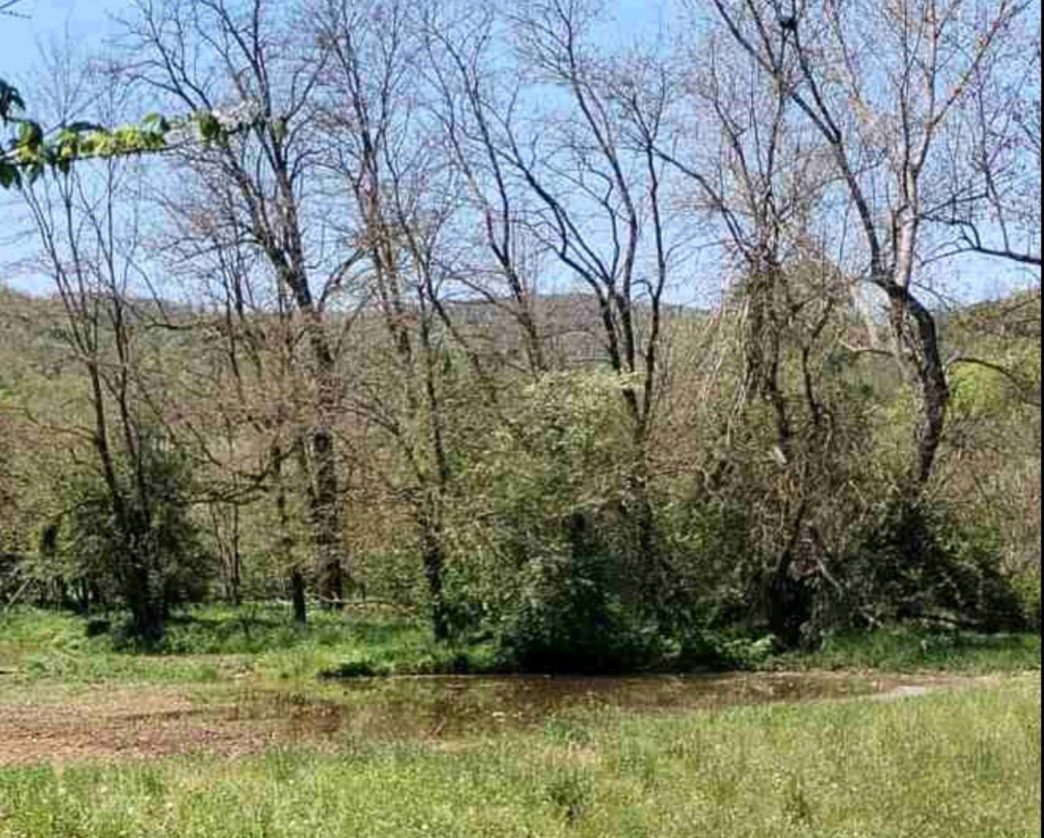 Fekalije pored izvorišta (foto arhiva)