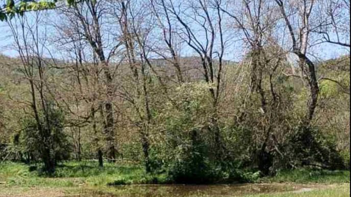 Fekalije pored izvorišta (foto arhiva)