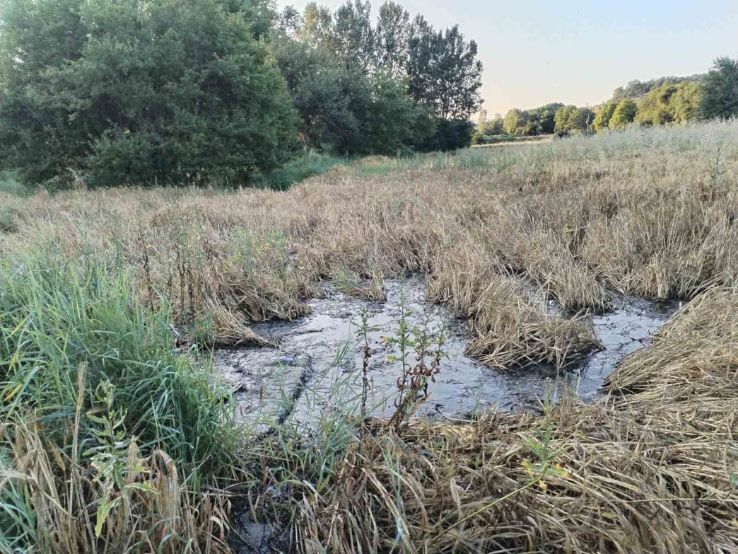 Ekološka katastrofa: Fekalije kod izvorišta vode u selu Sveta Petka