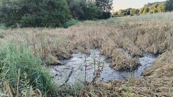 Ekološka katastrofa: Fekalije kod izvorišta vode u selu Sveta Petka