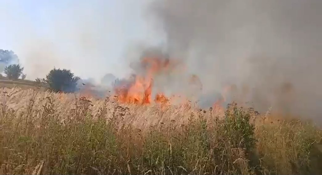 Veliki požar u Dobrosinu